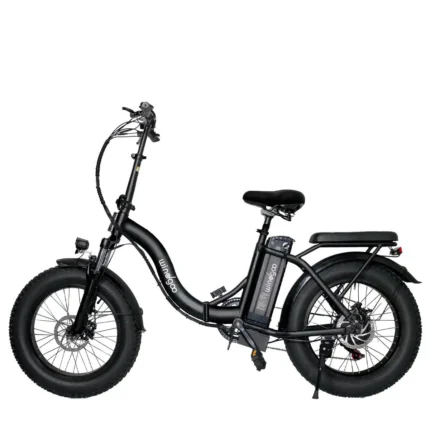 Sulankstomas elektrinis dviratis „Windgoo E20 Pro Fatbike“