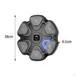 Muzikinis bokslo treniruoklis