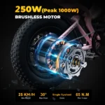 Elektrinis dviratis VICTRIP R6 Pro