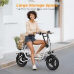 Elektrinis paspirtukas T1401-1