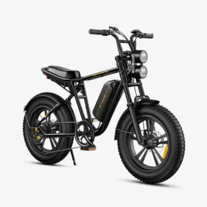 Engwe M20 (su viena baterija)