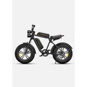 Engwe M20 (su dviem baterijomis)