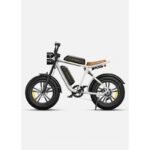 Engwe M20 (su dviem baterijomis)