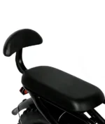 Elektrinis sulankstomas dviratis VICTRIP R5