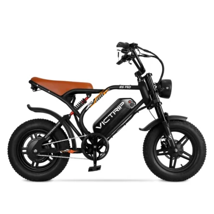 Elektrinis dviratis VICTRIP R6 Pro